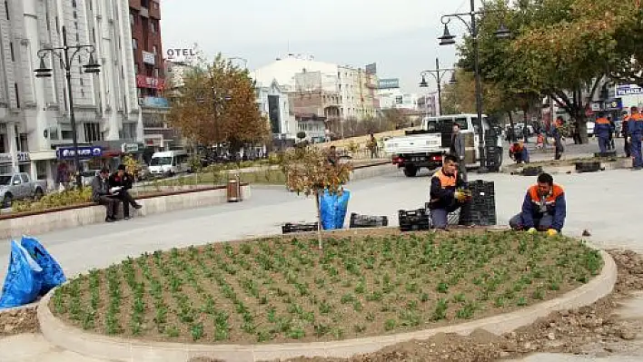 Park ve Bahçeler 20 Bin Çiçek Dikti