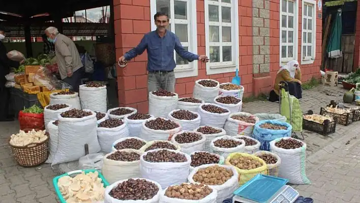 Kestane ve mantar bolluğu yaşanıyor