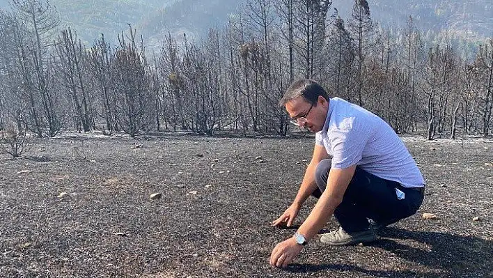 'Raporumuz dikkate alınsaydı bu felaket yaşanmazdı'