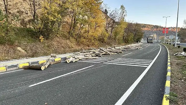 Römork devrildi! Tomruklar yola saçıldı