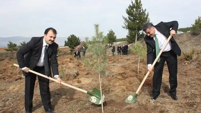 Sağlık Çalışanları Fidan Dikti