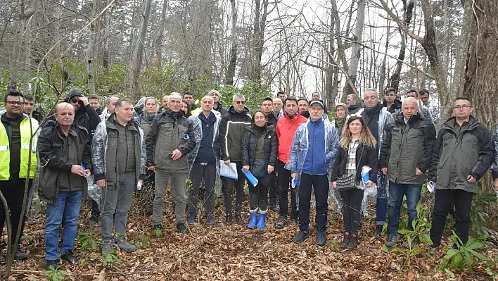 Sahil ilçelerinde 'Kestane Çalıştayı'