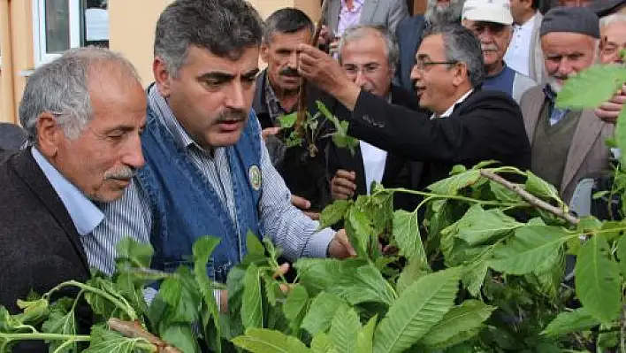 Şahin, Köyleri Gezerek Dert Dinliyor