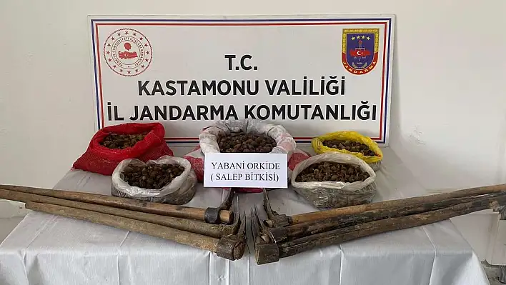 Salep kökleriyle yakalandılar! 3 kişiye para cezası