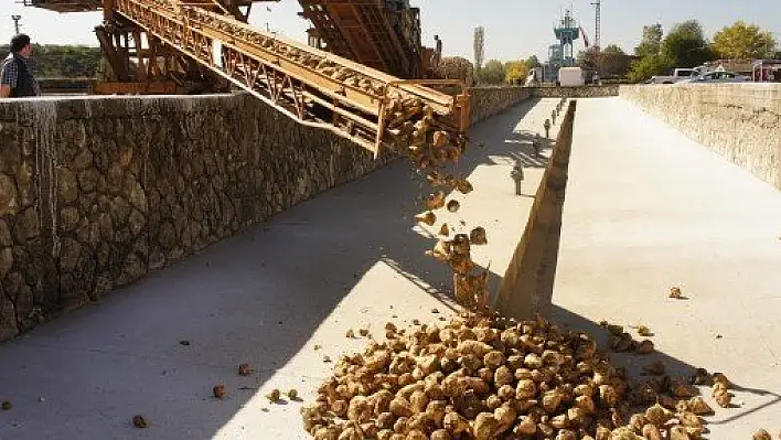 Şeker Fabrikasının kampanya dönemi