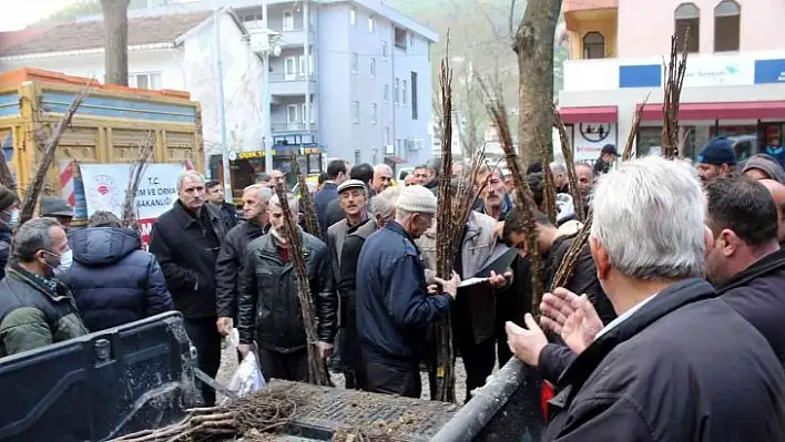 Bozkurt'ta arı kovanı ve fidan dağıtıldı