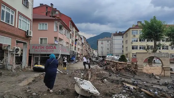 Bozkurt'tan dehşete düşüren görüntüler