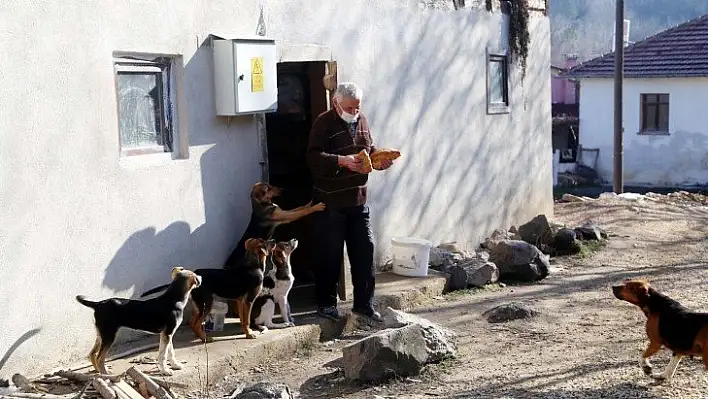 Sokak köpeklerine sıcak yuva sunmak için köyden ayrılmadı