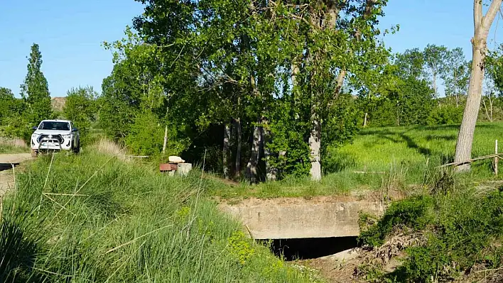 Kastamonu'da başı kesilmiş ceset bulundu!