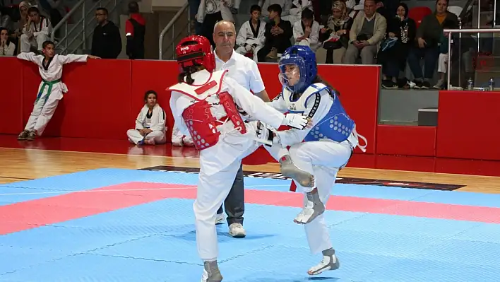 Taekwondo müsabakaları yapıldı