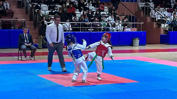 Taekwondo şöleni başladı