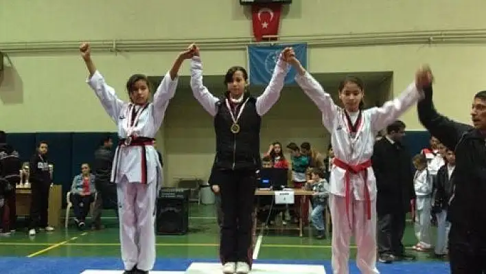 Bartın'lı Taekwondocular Madalyayla Döndü 