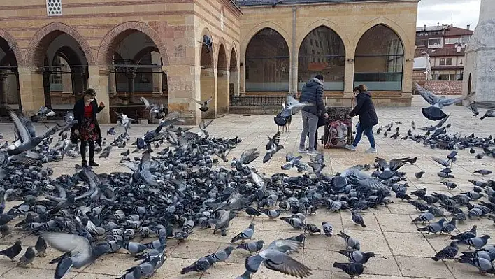 Tarihi meydandaki kuşlar kısıtlamada unutulmadı