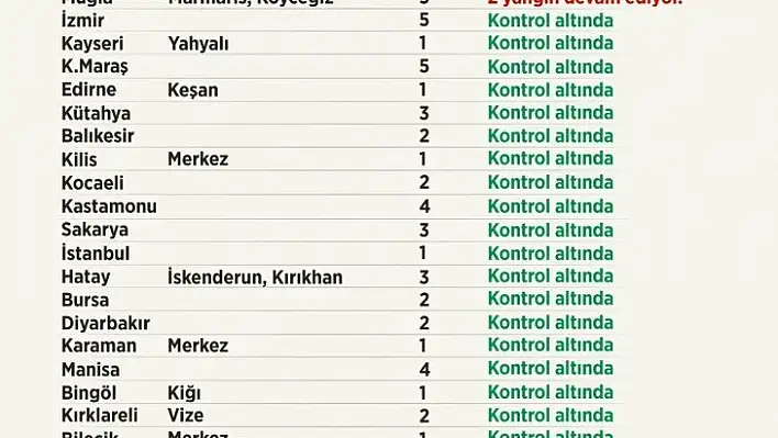 Orman yangınlarına ilişkin son durum