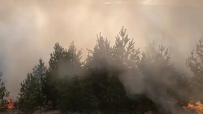 Taşköprü'de örtü yangını!