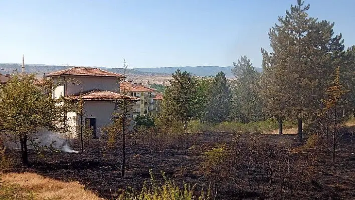 Taşköprü'de trafodan mezarlığa sıçrayan yangın söndürüldü