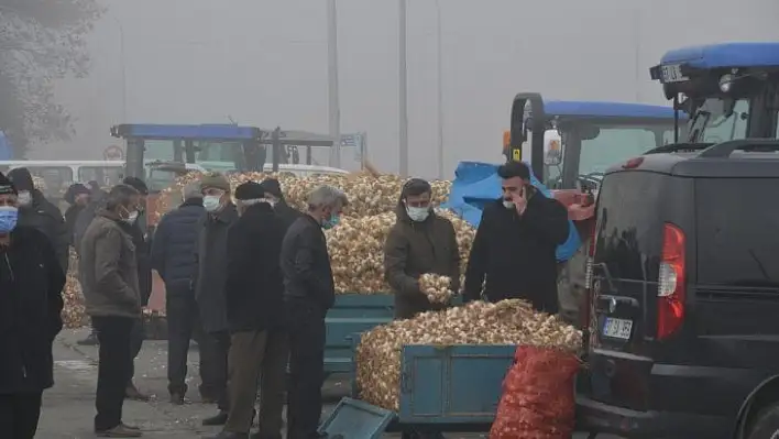 Taşköprü Sarımsağı, Avrupa Birliği yolunda