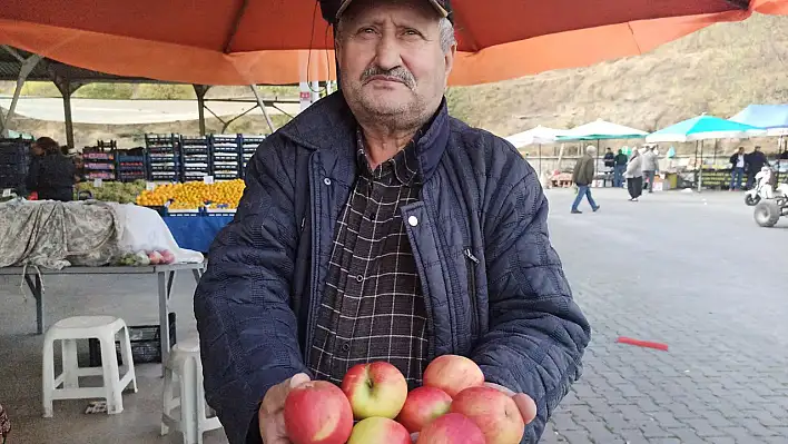 Tosya'da 1350 ton elma rekoltesi elde edildi