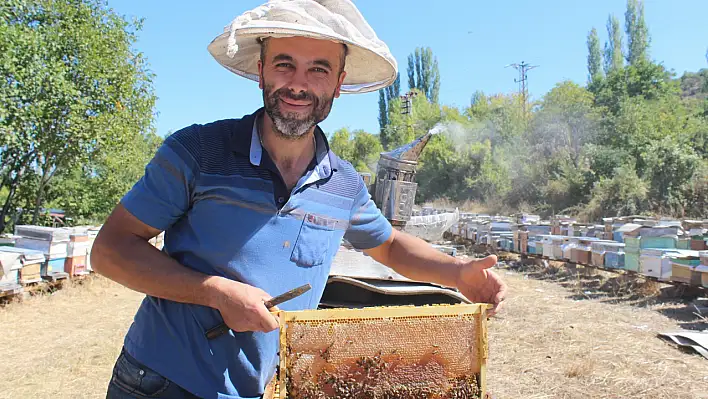 Tosya'da 55 ton bal hasadı yapıldı