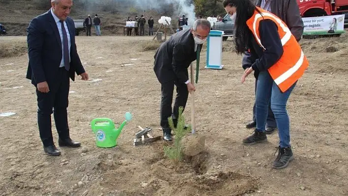 Tosya'da bin adet fidan toprakla buluştu