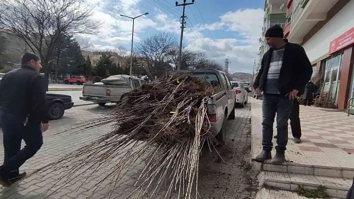 Çiftçiye yüzde 50 hibeli fidan dağıtıldı