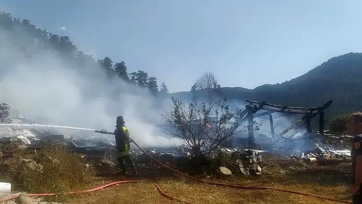 Tosya'daki yangında 2 yayla evi yandı