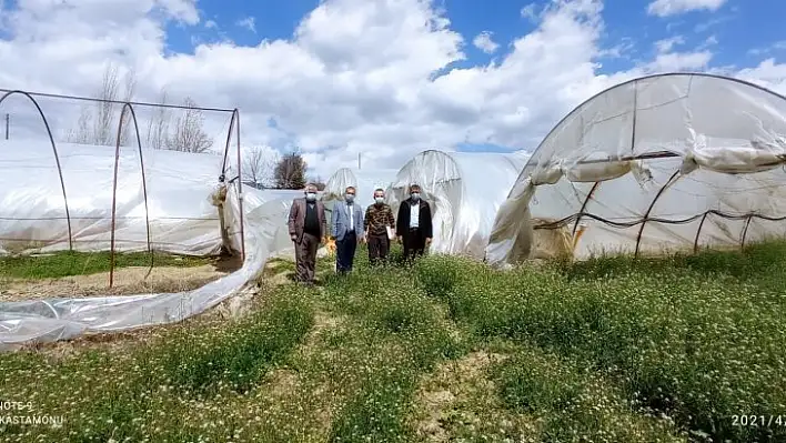 Tosya'da seralar kontrol edildi