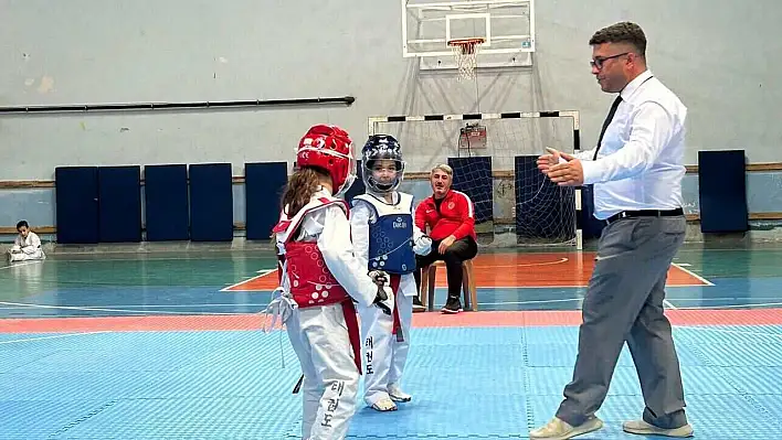 Tosya'da taekwondo şöleni