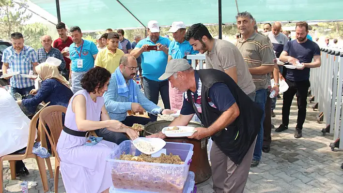 Tosya'da toplu sünnet şöleni düzenlendi