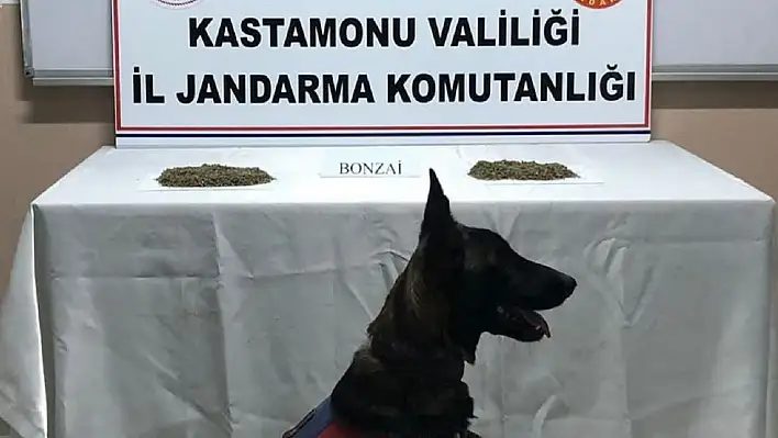 Uyuşturucu yakalanan minibüsün sürücüsü tutuklandı