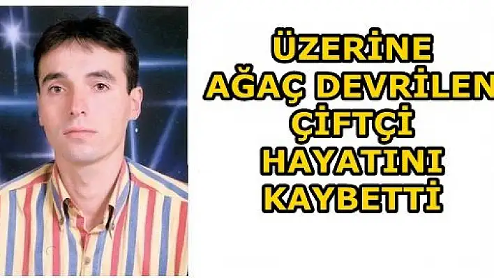 Üzerine Ağaç Devrilen Çiftçi Hayatını Kaybetti