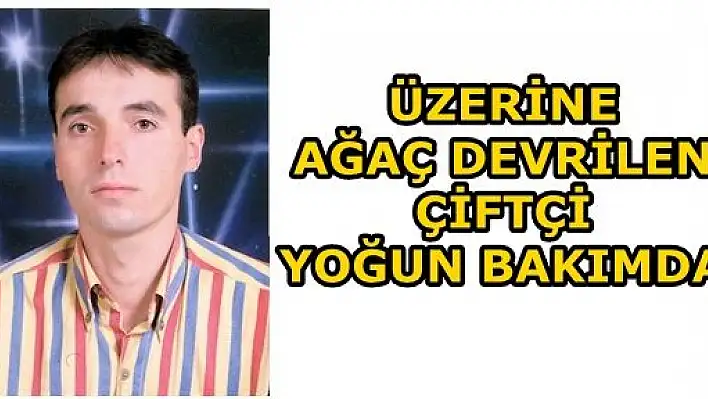 Üzerine Ağaç Devrilen Çiftçi Yoğun Bakımda