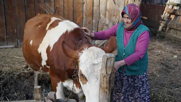 'Yangında başıma tülbent bile alamadım'