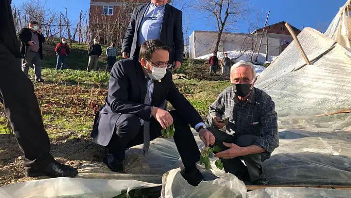 'Yaralar mutlaka devlet tarafından sarılmalı'