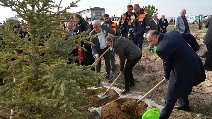 Kastamonu'da 15 bin fidan toprakla buluştu