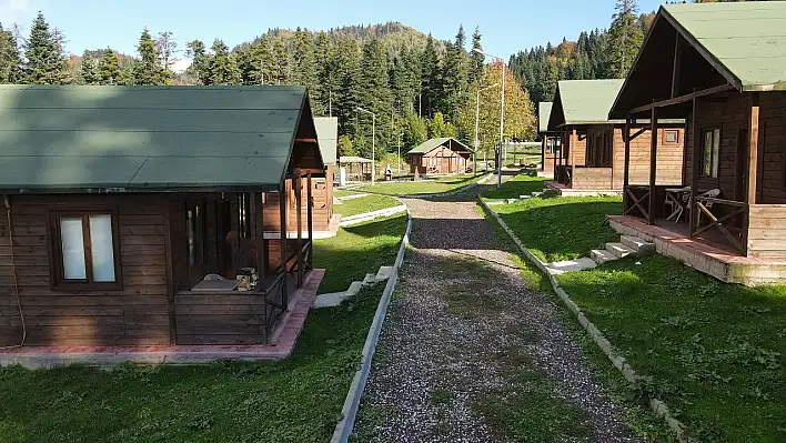 Yeni bungalovlar ve ahşap evler