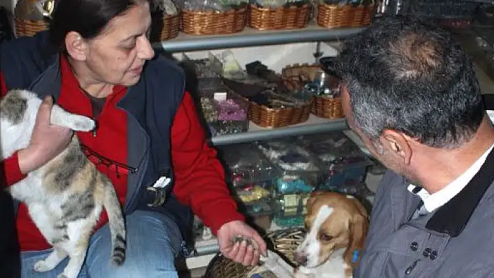 Yeni Başkan Ayten Kökgöz oldu