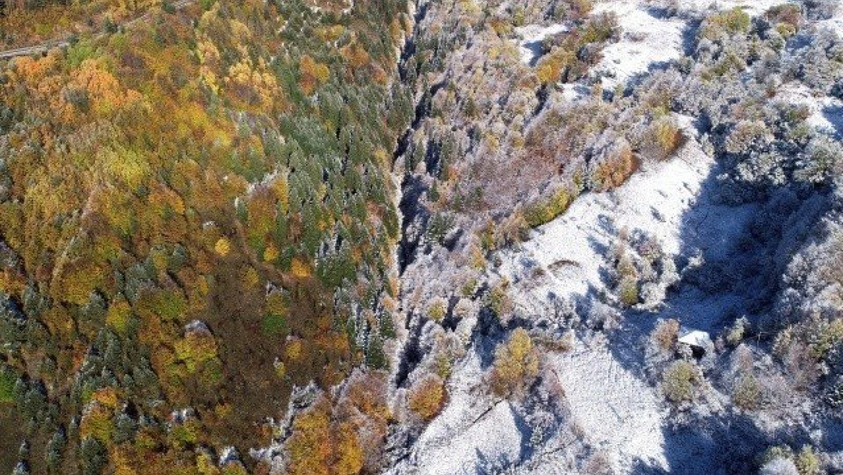 Kastamonu'da sonbaharın renk cümbüşü