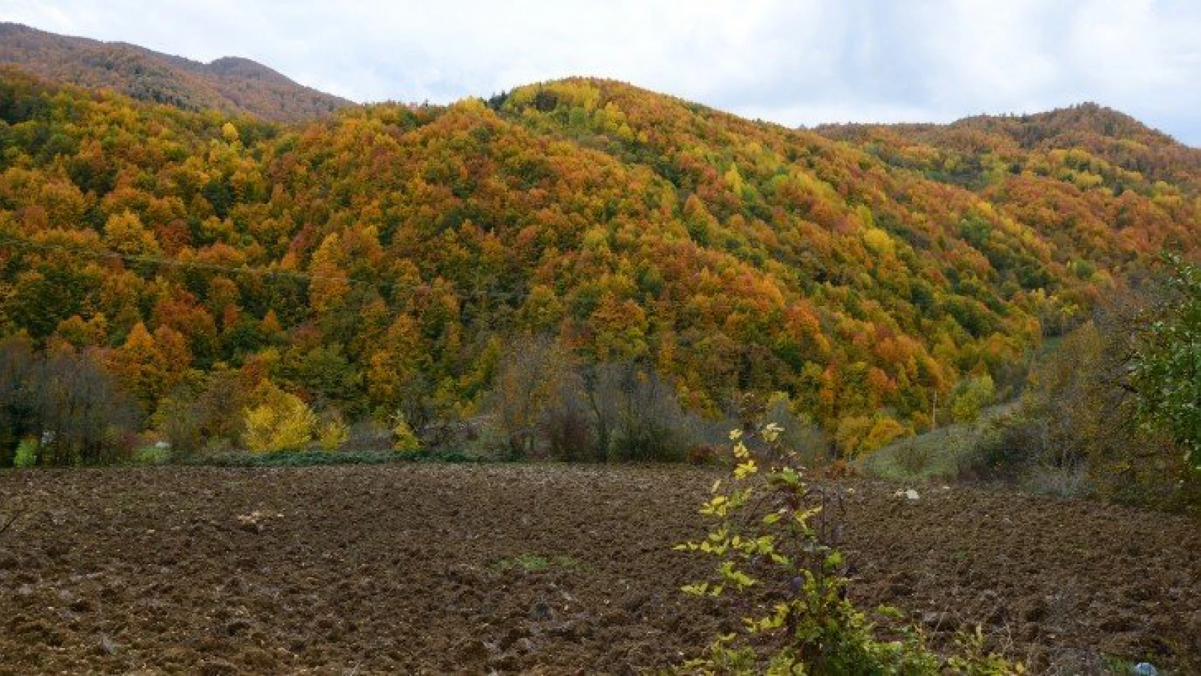 'Saklı cennet' Şenpazar sonbaharın renkleriyle büyülüyor