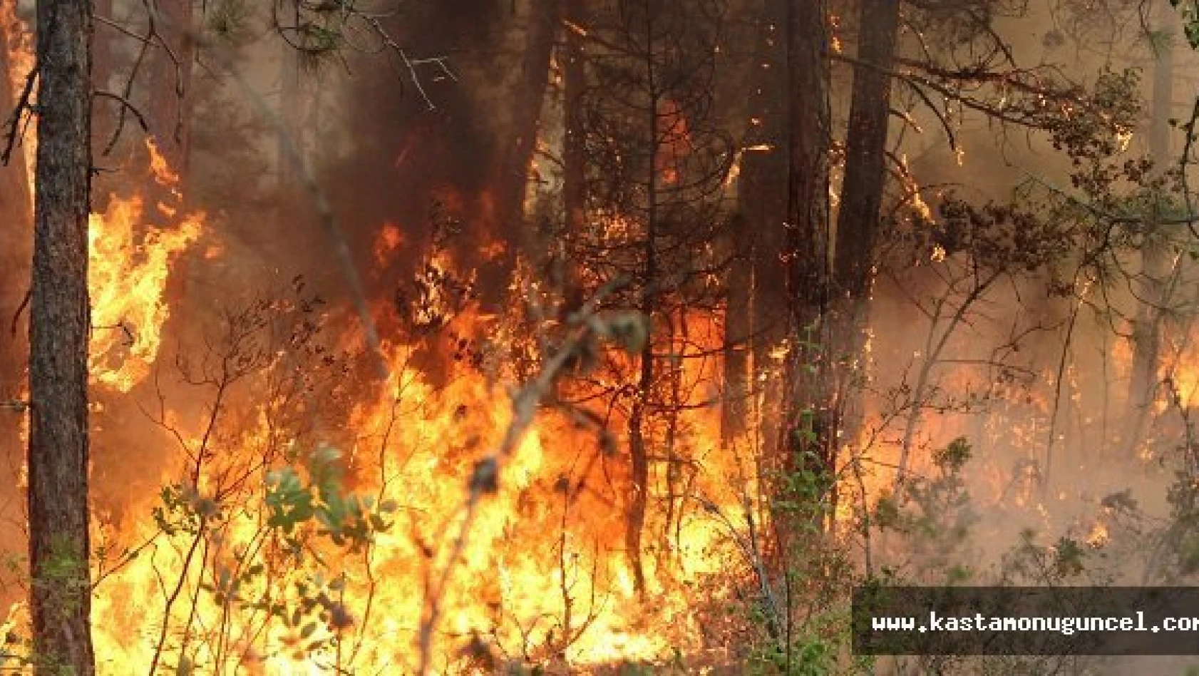 Karabük'teki Yangın Kısmen Kontrol Altında