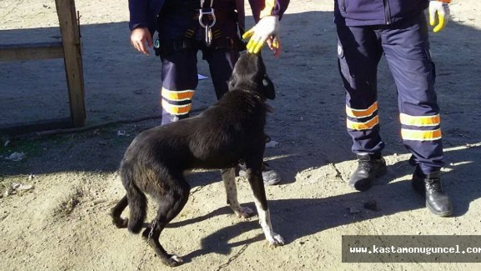AFAD Ekipleri Kuyuya Düşen Köpeği Kurtardı