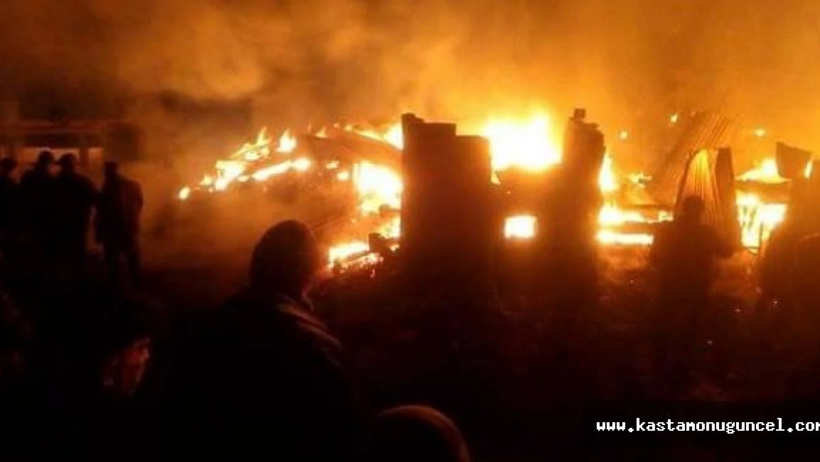 Kastamonu'da Yangın: 8 Hayvan Telef Oldu