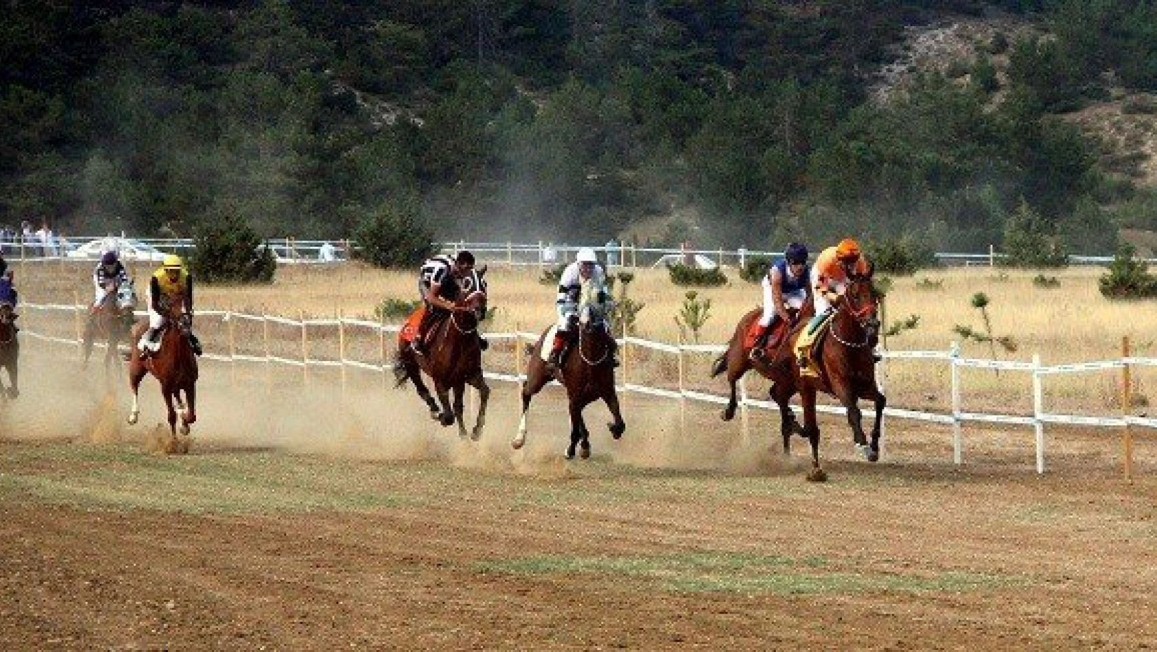 Taşköprü'de at yarışları nefes kesti