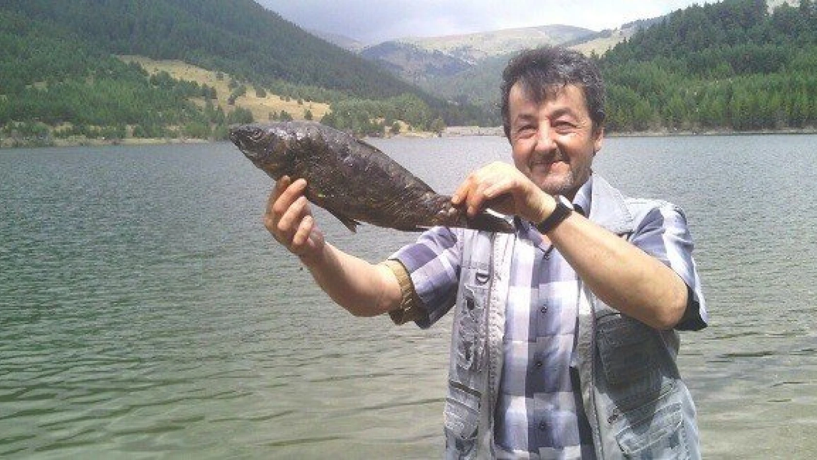 Tosya'daki gölette toplu balık ölümleri