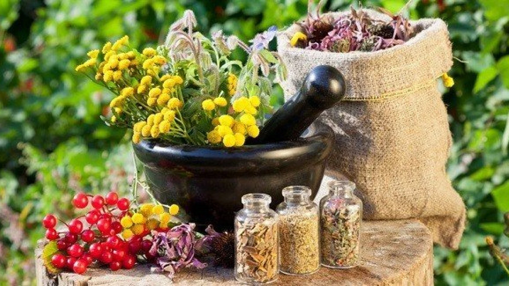 Homeopati ile yaşamsal gücünüzü yeniden aktive edin