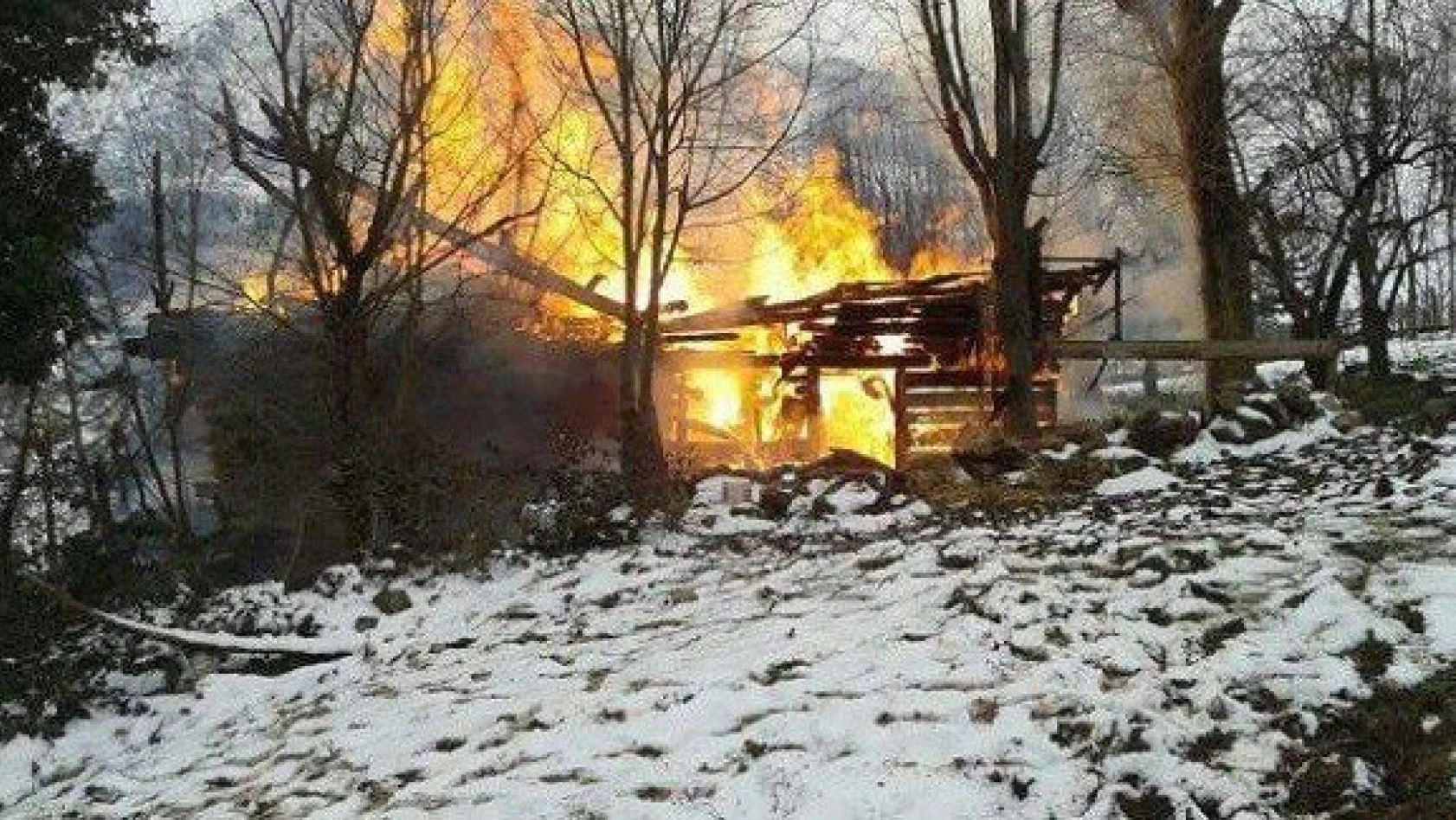 Kastamonu'da ev ve ambar yandı, 8 hayvan telef oldu