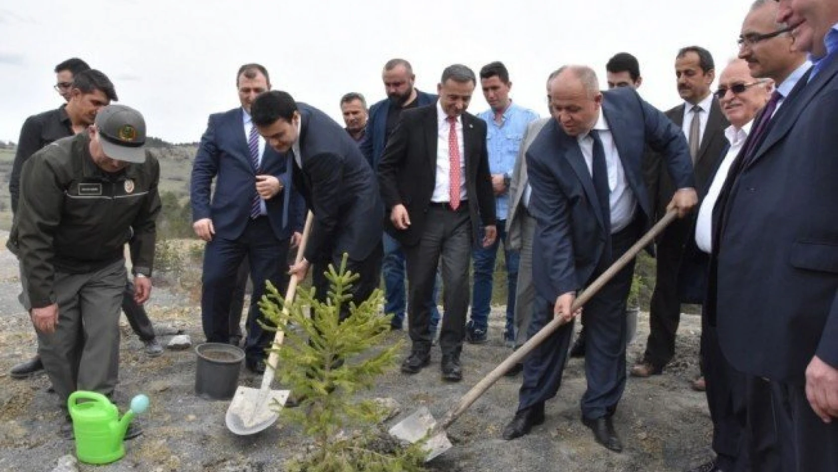 Azdavay'da maden sahaları ağaçlandırılıyor