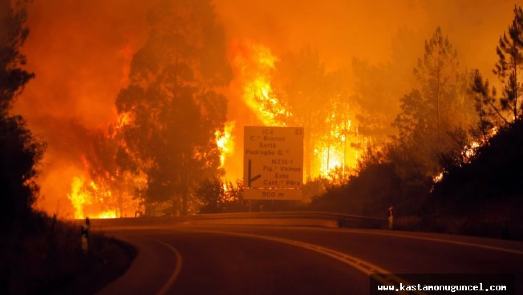 Portekiz'de yangın: 57 ölü!