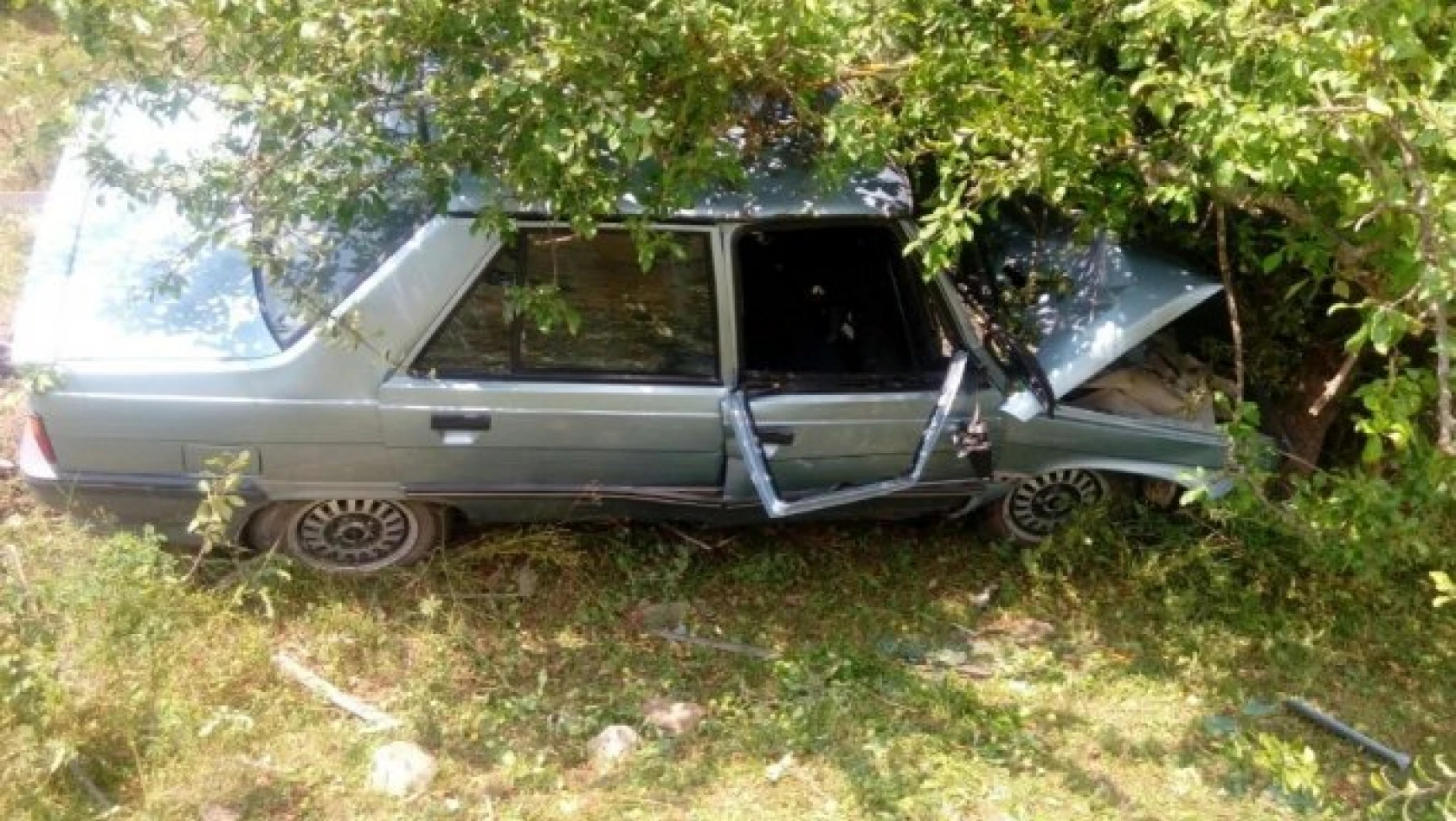 Kontrolden çıkan otomobil, ağaca çarptı: 1 yaralı