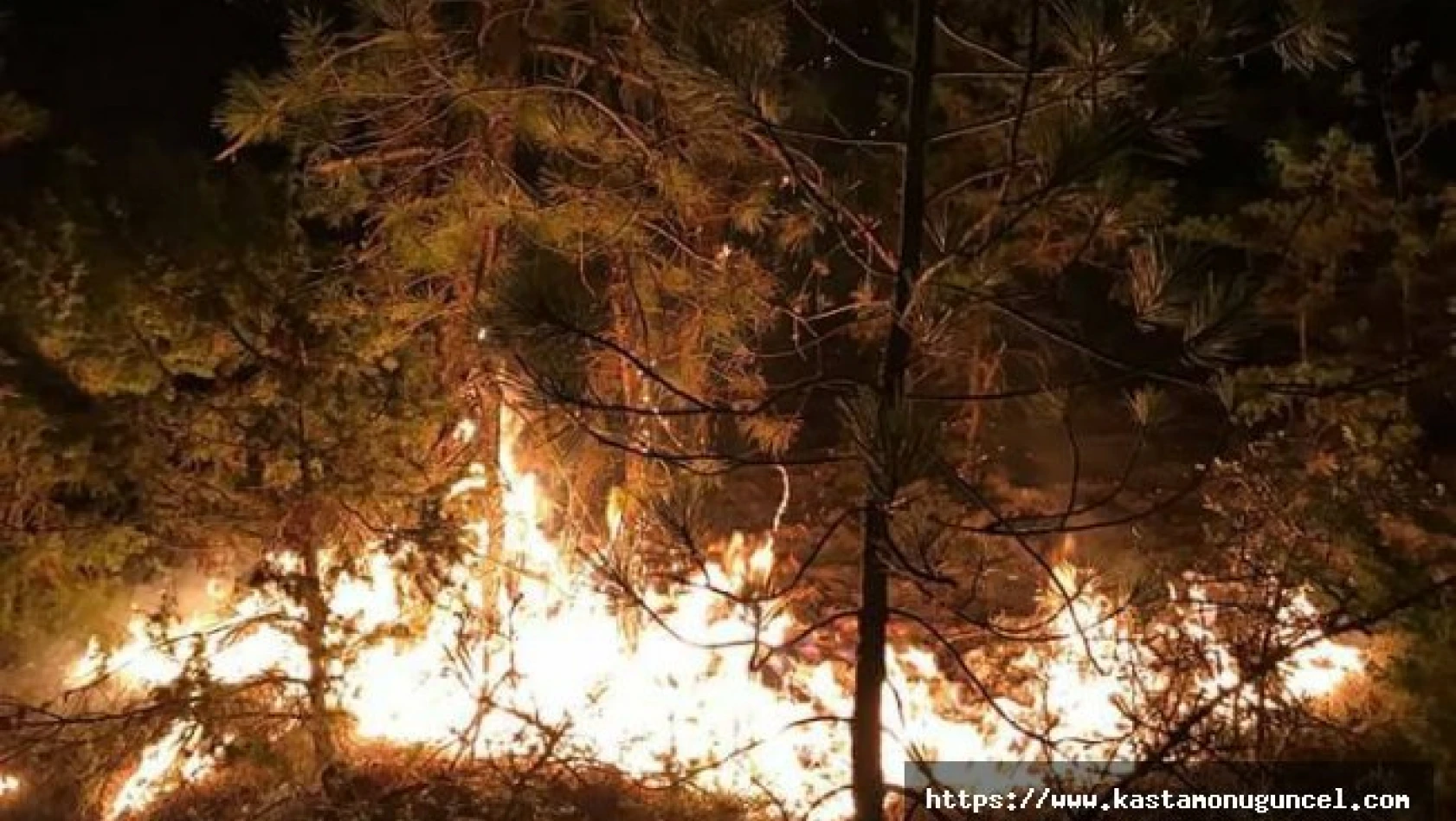 Azdavay'da orman yangını
